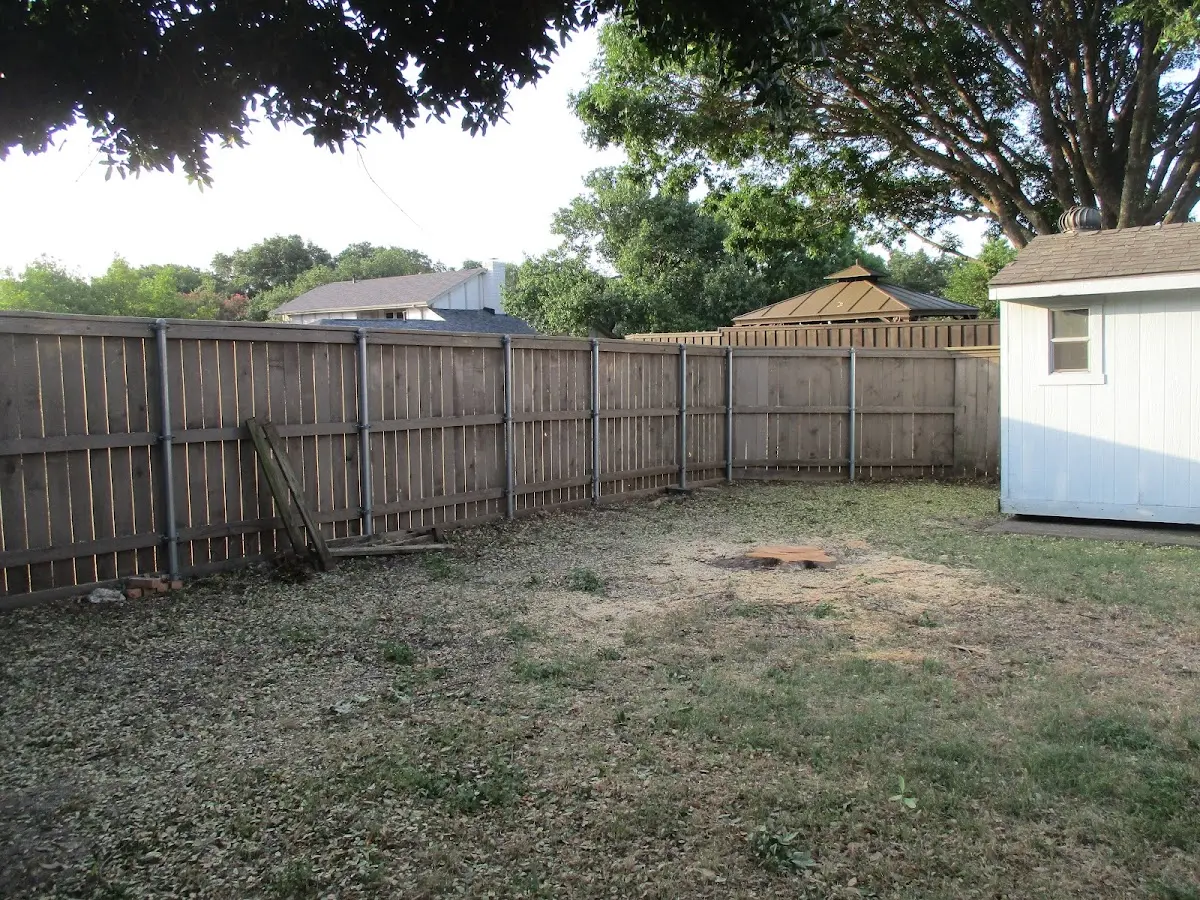 Cleared yard after professional tree removal in Allen